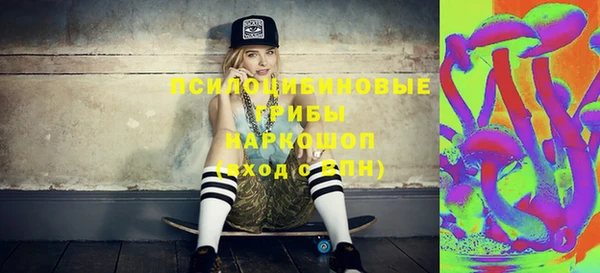 дмт Алзамай